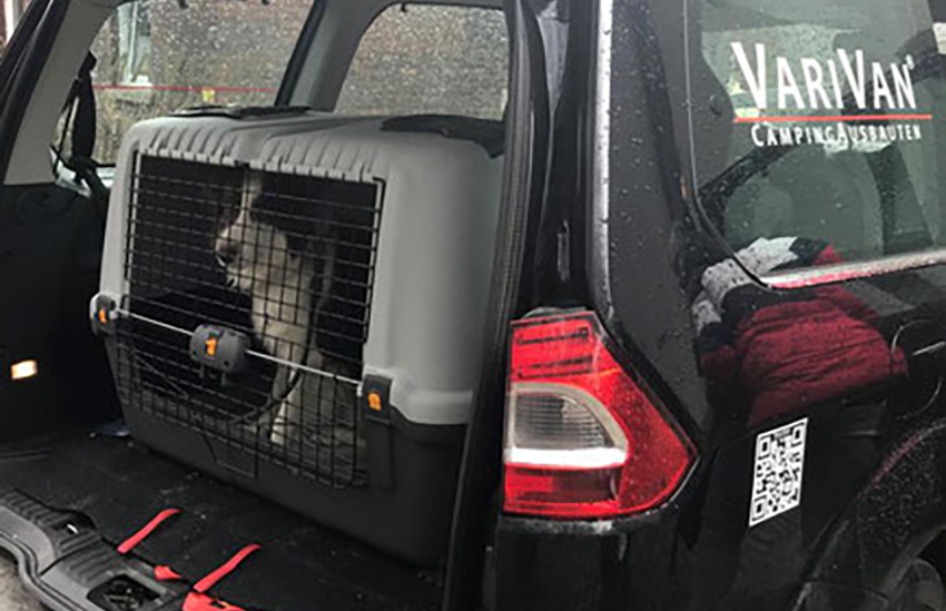 img_variabel_hundebereich