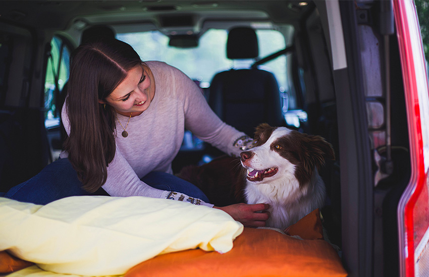 img_variabel_hundebereich3