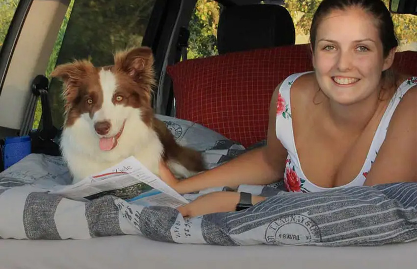 img_variabel_hundebereich4